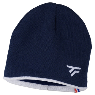 T-POLAR BEANIE